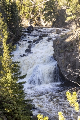 Firehole Falls YNP 2025